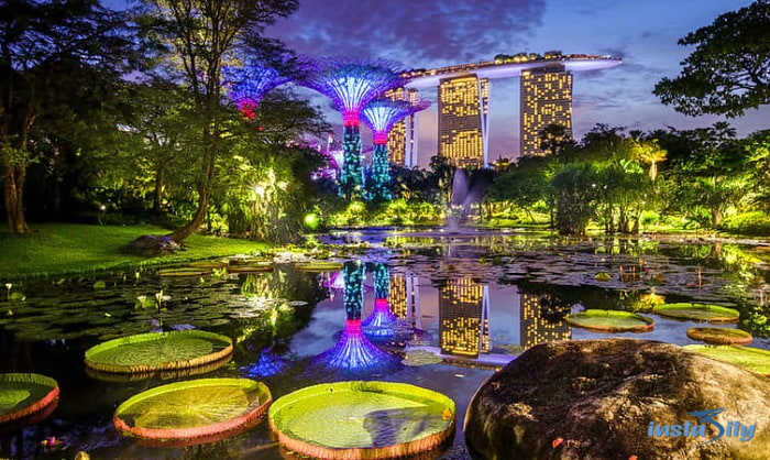 Gardens By The Bay - Singapore