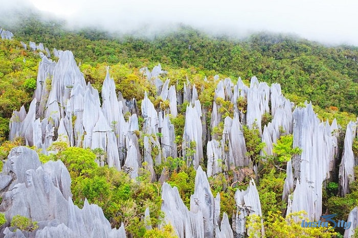 Gunung Mulu National Park - Malaysia