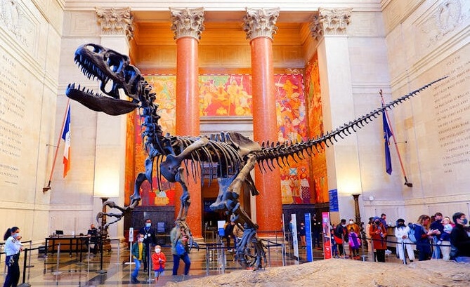 American Museum of Natural History