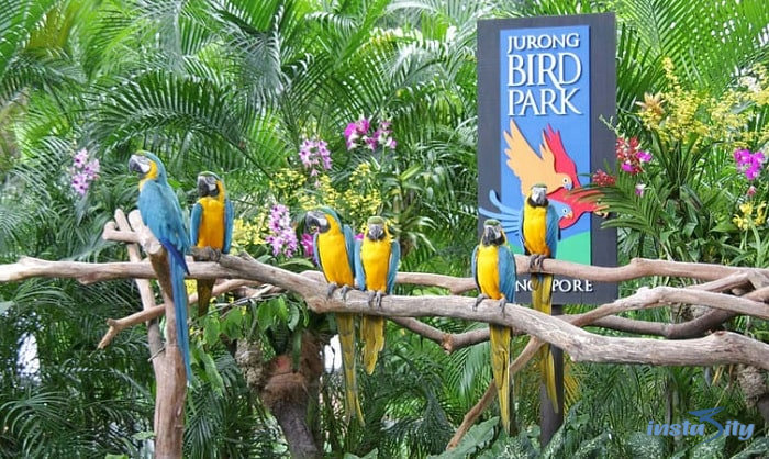 Jurong Bird Park - Singapore