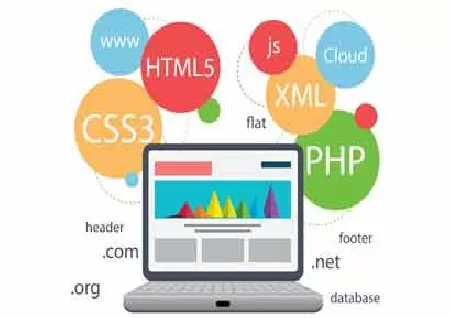 Best Website Designers In Nellore