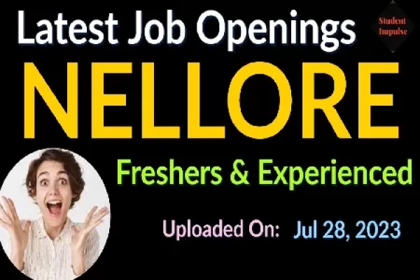 Data Entry Jobs In Nellore For Freshers And Experienced At Pahavio Software Solutions - Jobs And Careers