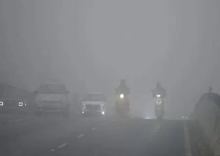 Dense fog, cold wave to continue over north India