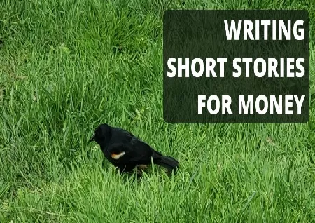 Instasity Platform for Writers to Share Their Short Stories