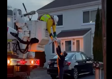 USA worker rescues seagull stuck in wires