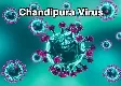 Gujarat Battles Chandipura Virus: 101 Child Deaths Amid Viral Epidemic