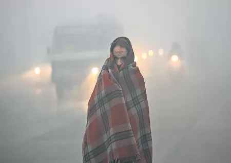 Image of Cold Wave Prevails In North India, IMD Issues Red Alert For Fog | Updates