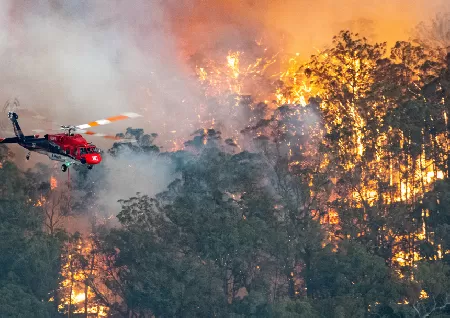 Uncontrolled Bushfire Burning On Gorge Road At Montacute East Of Adelaide